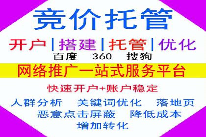 谷歌SEM成功案例：助力企业业绩增长